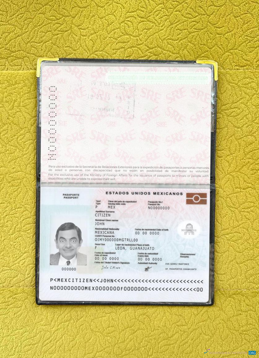 Download Mexico passport new 2022 present photolook Photoshop template